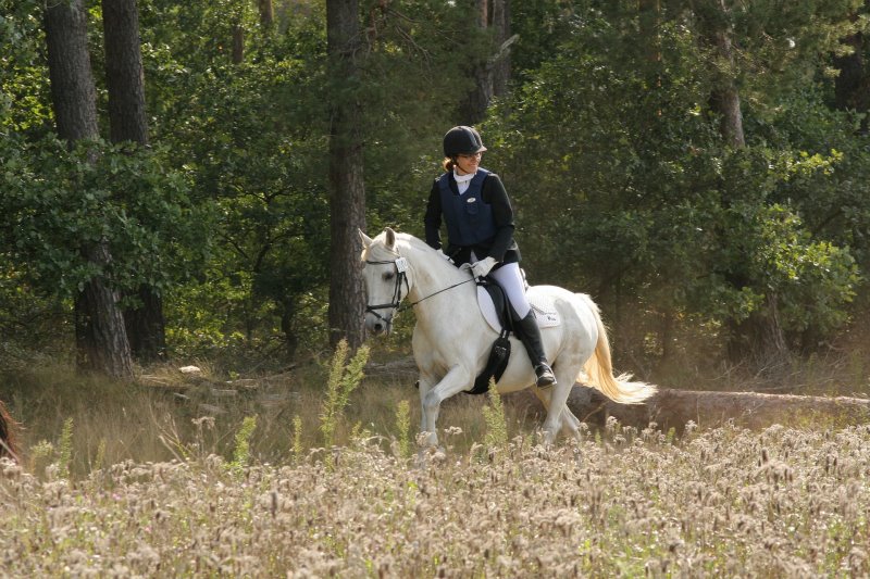 Eine Reiterin reitet in Dressuroutfit über ein Feld