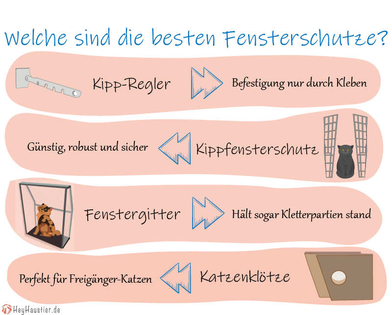Infografik über Fensterschutz Infografik über die besten Fensterschutze