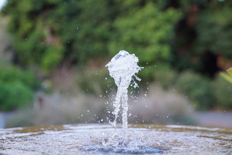 Hundetrinkbrunnen für Hunde