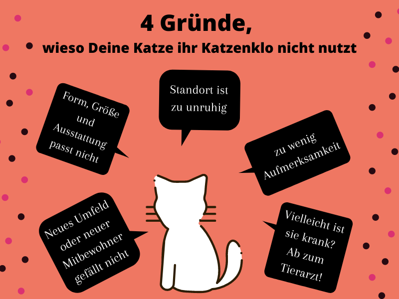 Gründe warum Katze nicht auf ihr Katzenklo geht Ursachen wieso Katze Katzentoilette verweigert