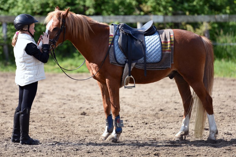 Ponysattel im Test beim Reiten Ein Mädchen steht neben einem Pony mit Ponysattel