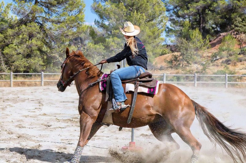 Westernreiter mit Reitjeans