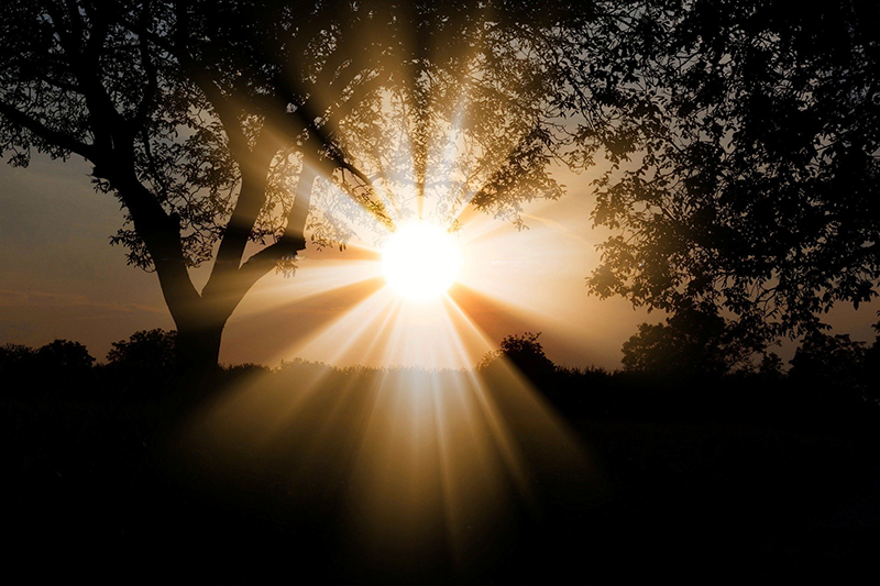 Wie wichtig ist UV-Strahlung (terrarium-beleuchtung-sonne) terrarium-beleuchtung-sonne