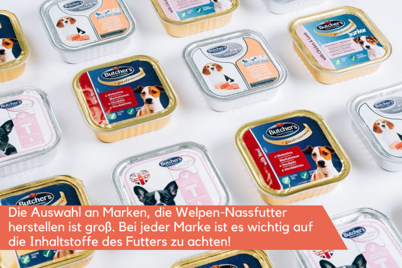 Verschiedene Nassfutter-Sorten