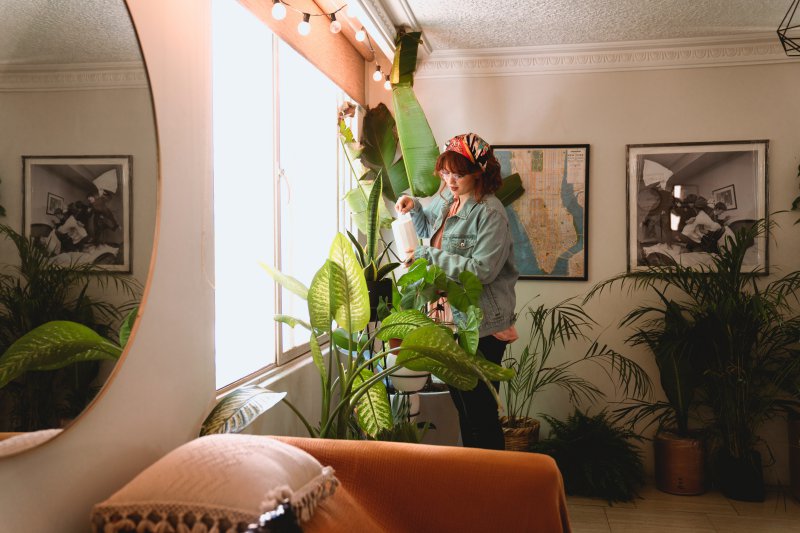 Wohnzimmer mit Pflanzen