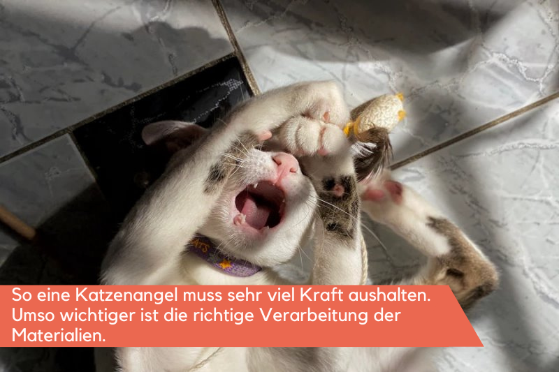 Katze auf dem Boden liegend und mit einer Katzenangel spielend