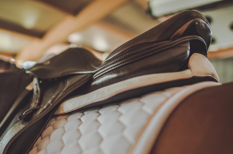 Sattel mit Schabracke und zusätzlichem Polster Sattel und Polster auf Pferderücken