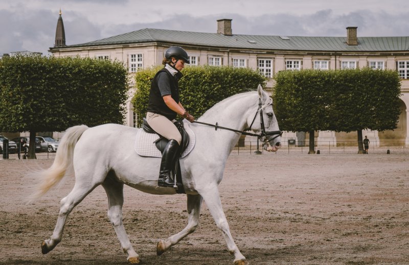 Klassische Reiterin auf weißem Pferd, reitet mit geschlossenen Zuegeln über den Platz Zuegelhaltung bei klassischem Reitstil
