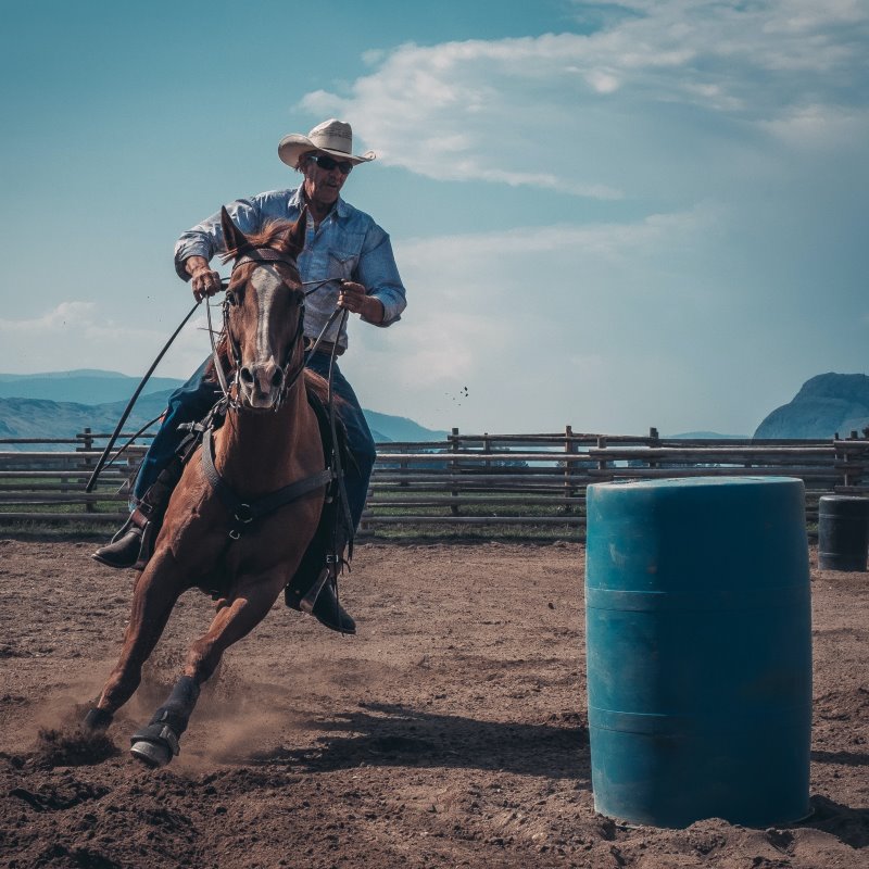 Westernreiter reitet ueber den Platz, mit den offenen Zuegeln locker in der Hand. Westernreitstil mit lockerer Zuegelhaltung