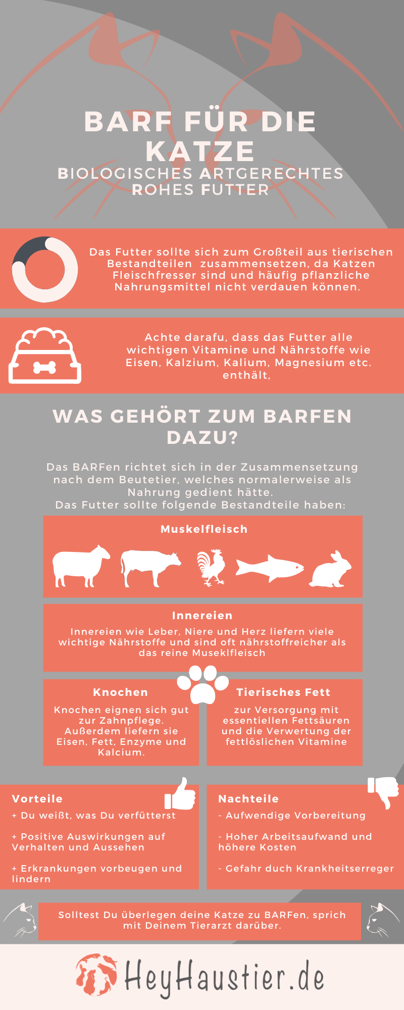 Infografik Barfen für Katzen