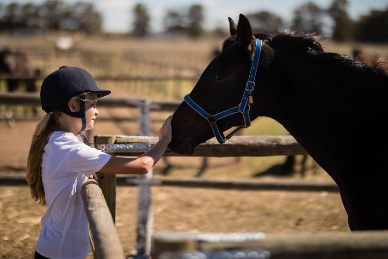 Pferdemädchen streichelt Pony Mädchen streichelt Pony