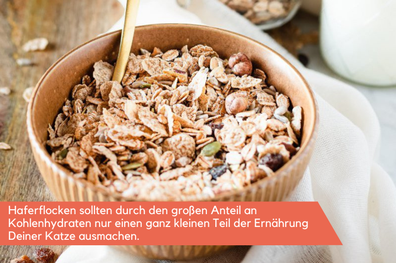Schale voll mit Haferflocken