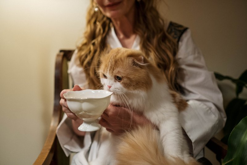 Eine Frau, die ihrer Katze eine Tasse vorhält.