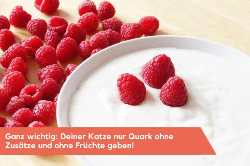 Quark in einer Schüssel mit Himbeeren.