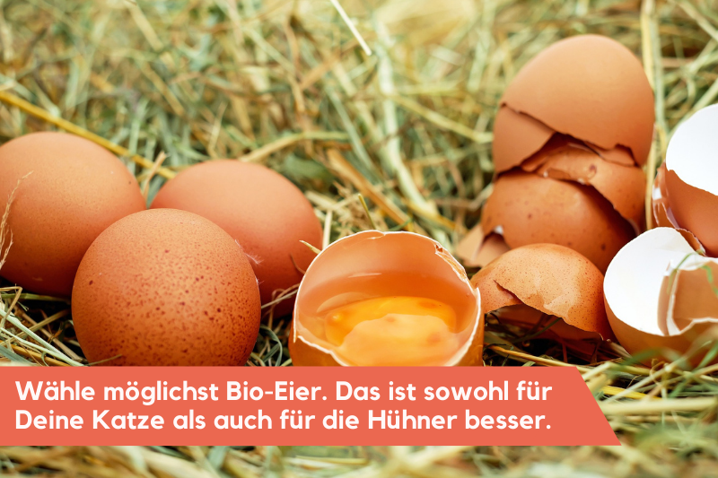 Eier die im Stroh liegen
