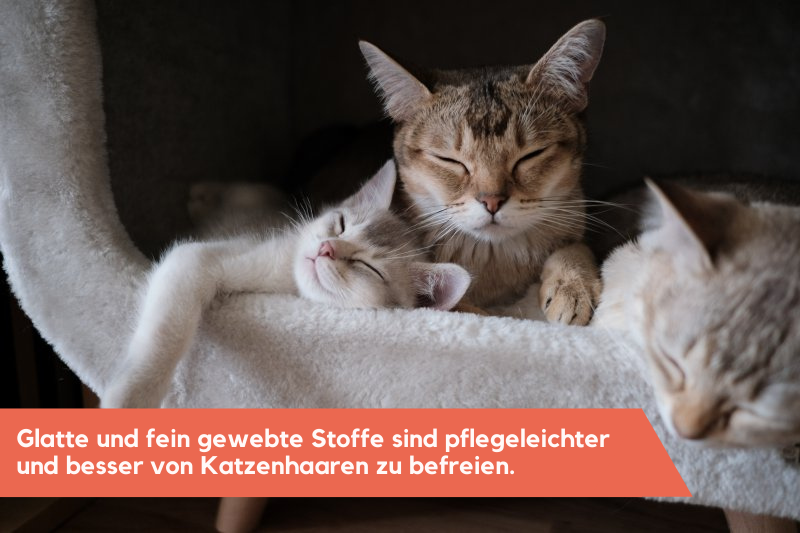 Drei Katzen, die zusammen auf einem weißen Möbelstück liegen.
