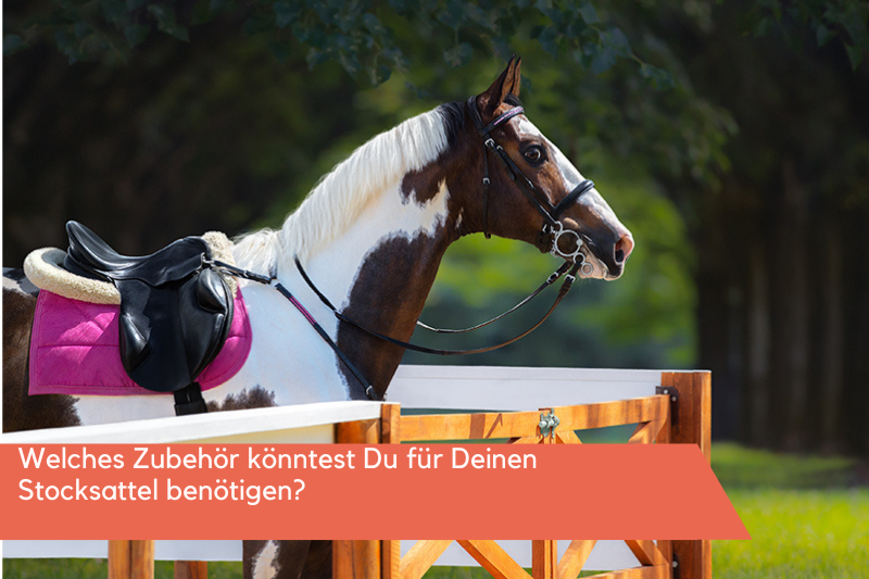Gesatteltes Pferd mit Stocksattel