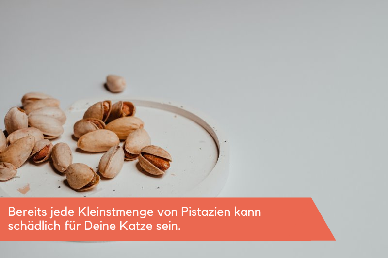 Pistazien liegen in einer Schüssel