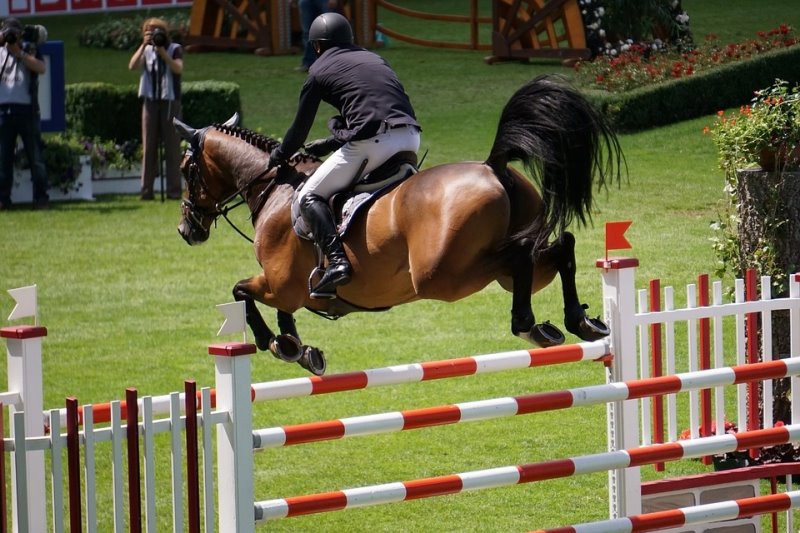 Ein Reiter springt über ein Hindernis Turnierreithosen beim Springreiten