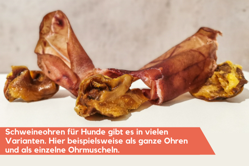 Schweineohren für Hunde gibt es in verschiedenen Arten