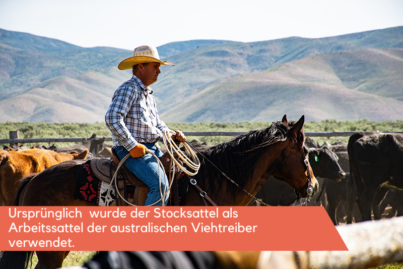Ein Viehtreiber auf dem Pferd