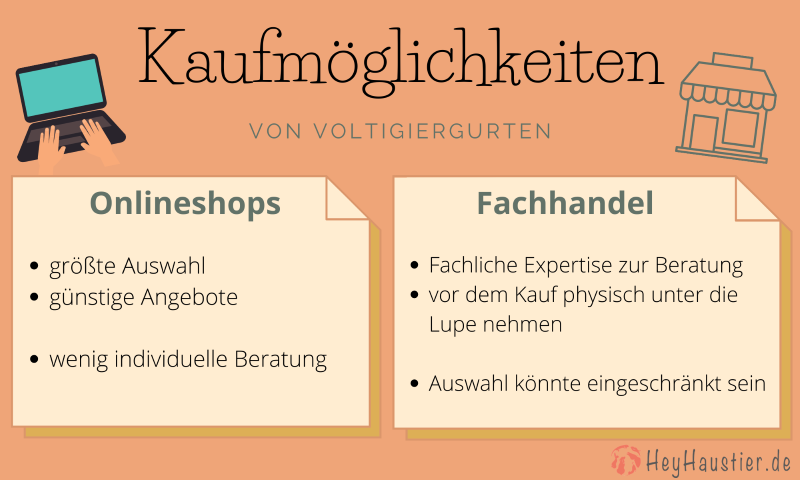 Infografik zu den Kaufmöglichkeiten eines Voltigiergurts