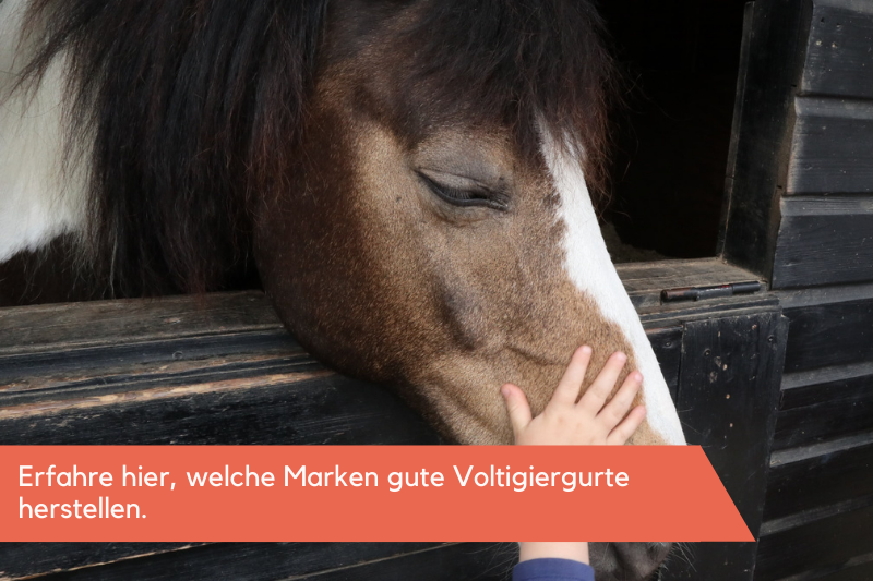 Marken, die qualitative Voltigiergurte herstellen.