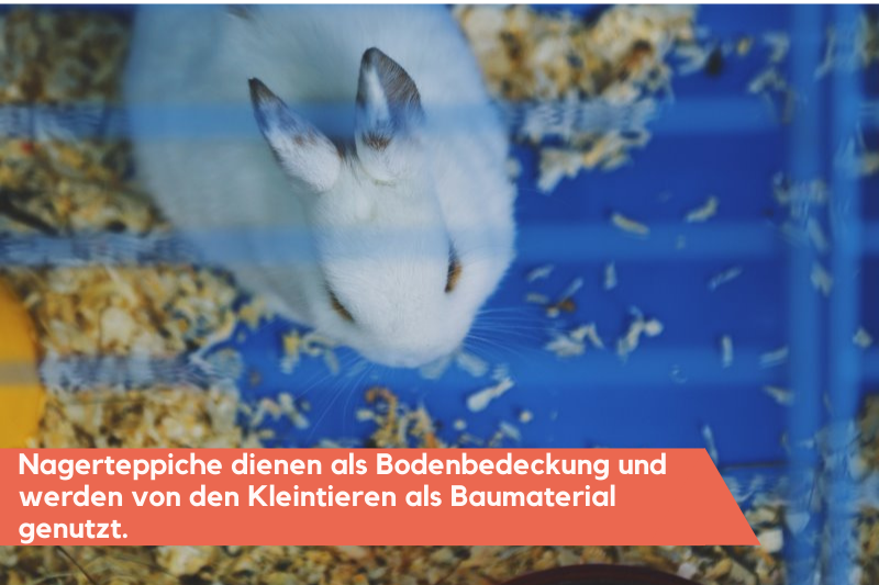 Um einen Wohlfühleffekt zu schaffen, empfiehlt sich ein Nagerteppich. 