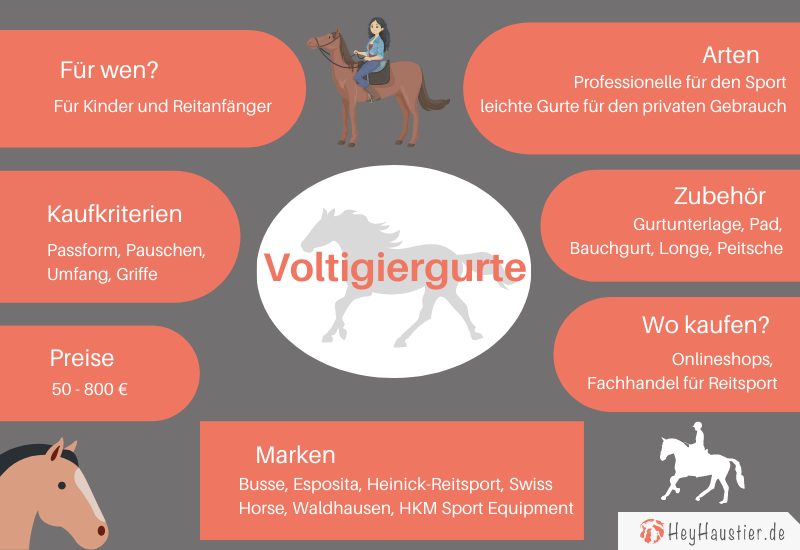 Infografik Voltigiergurte