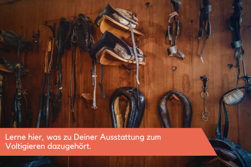 Zubehör von Voltigiergurten