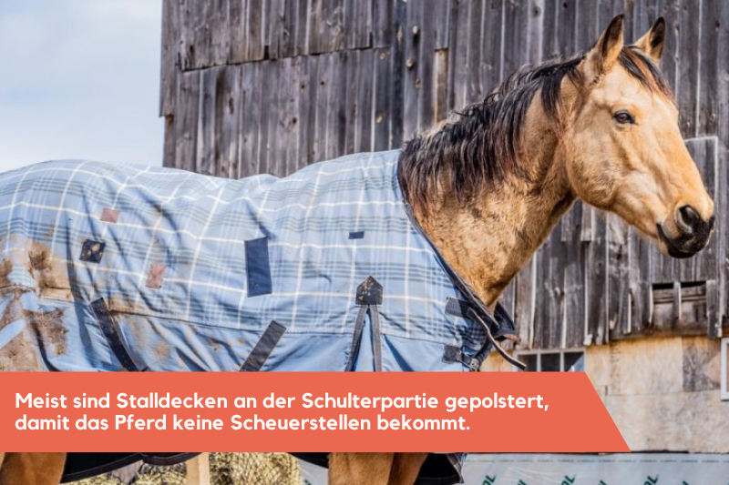 Pferdedecke draußen